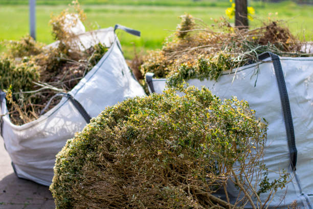 Best Mattress Disposal  in Winthrop, IA