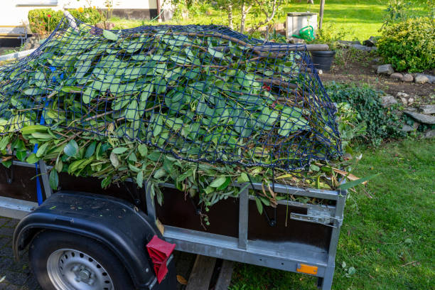 Best Construction Debris Removal  in Winthrop, IA